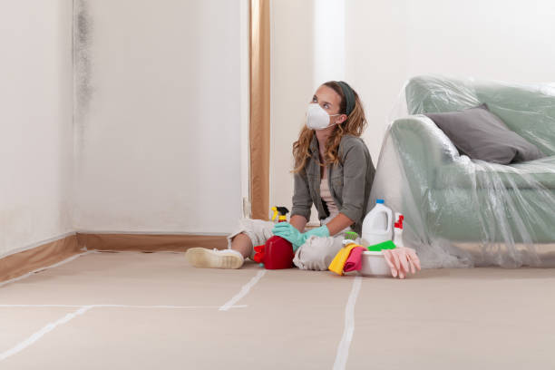 Reliable Mold Removal contractor in Lake Zurich, IL by Mold Remediation HQ